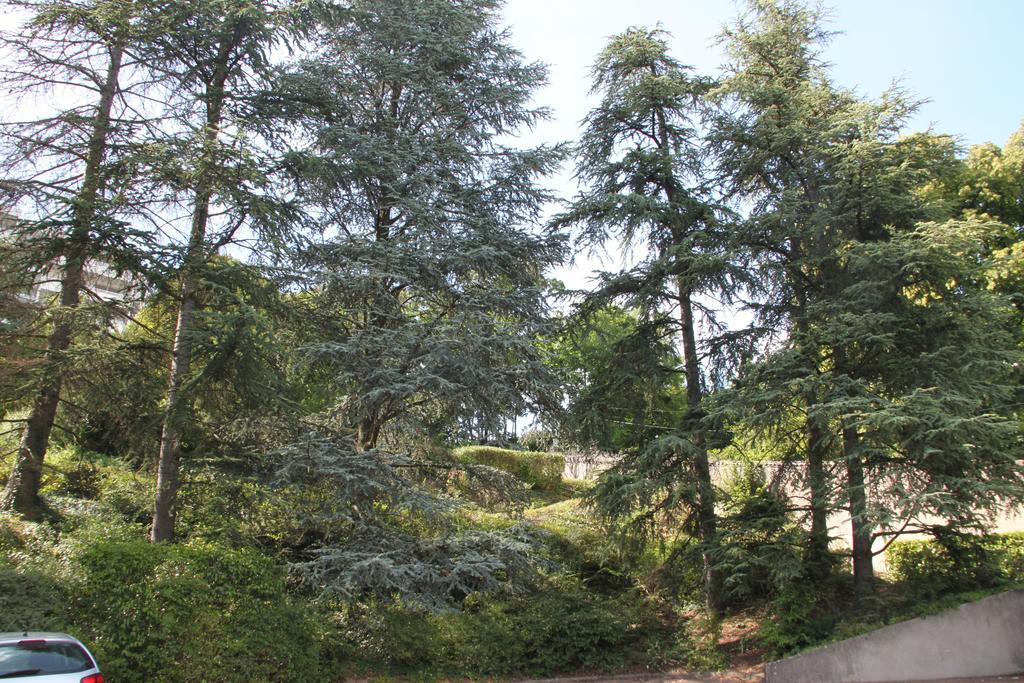 Les Hauts De Perrache Bed & Breakfast แซงต์-ฟัว-เลส์-ลิยง ภายนอก รูปภาพ